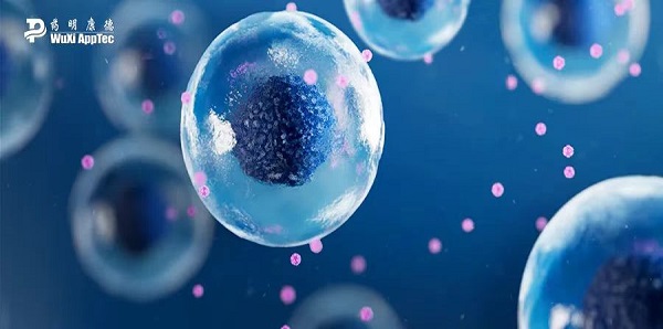 洛克菲勒大学最新科研成果——应用TESSA™ 快速高效实现B细胞基因改造